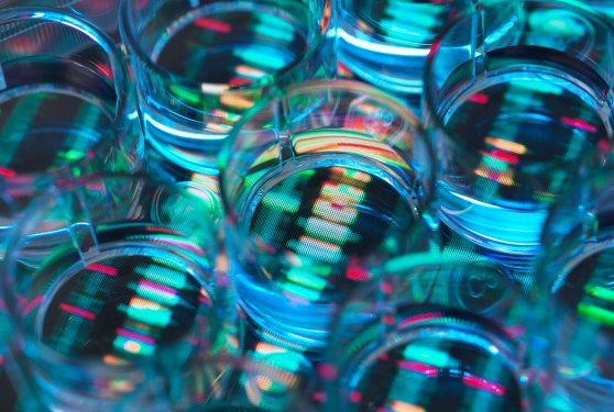 A human sample in a multi well plate ready for genetic analysis with a DNA sequence in the background