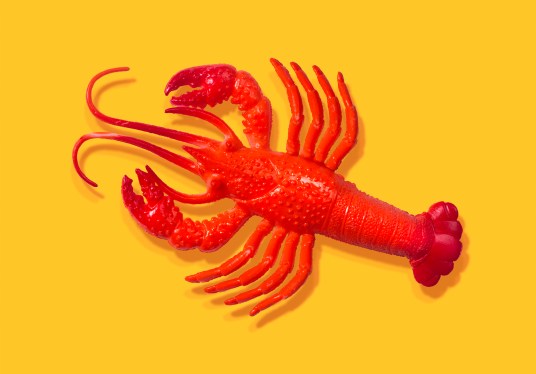 Red rubber lobster toy on yellow background